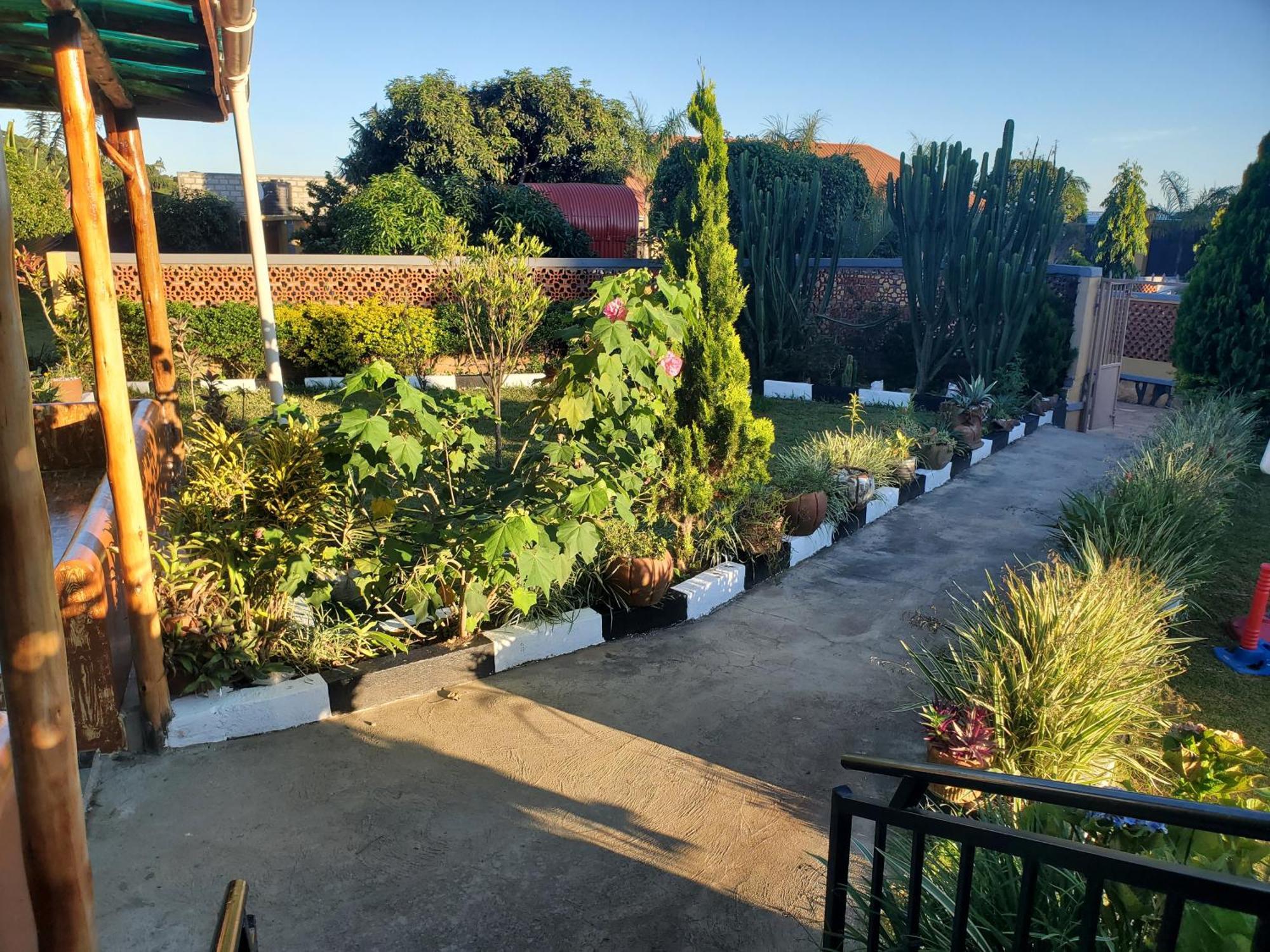 Gorilla African Guest House Εντέμπε Εξωτερικό φωτογραφία
